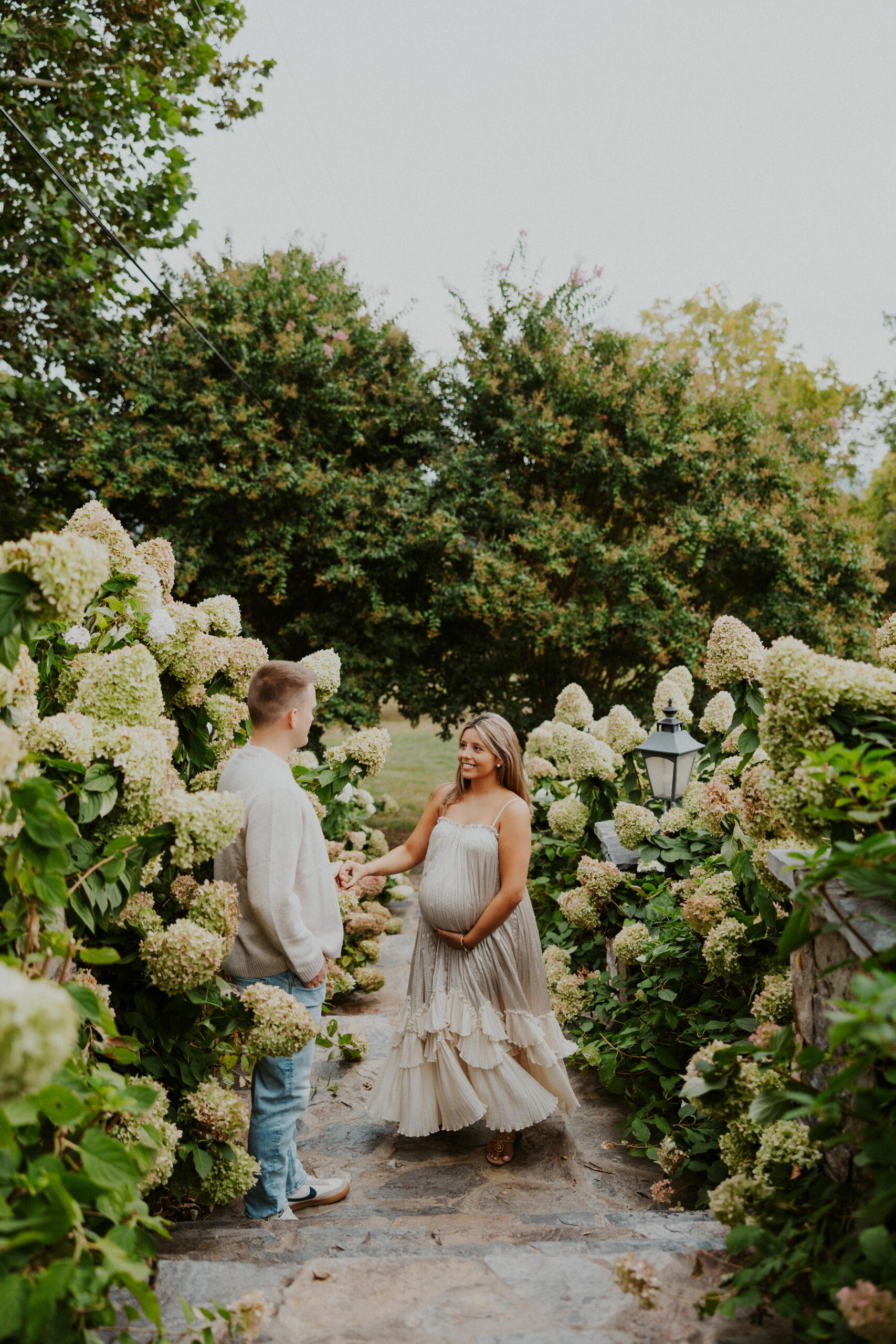 Romantic maternity photo amongst blooming hydrangeas at Bluemont Vineyards in Leesburg, Virginia