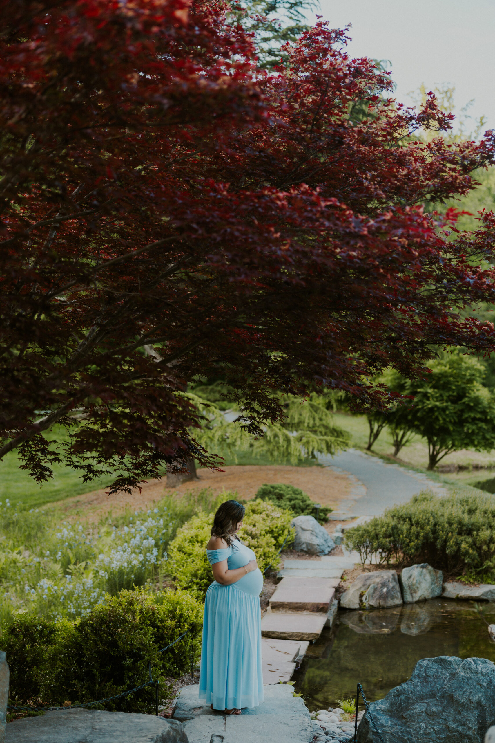 Romantic maternity photos on a garden pathway at Brookside Gardens in Silver Spring.